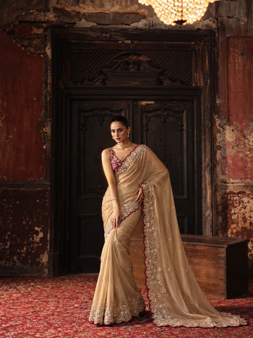 Charulata – Star Georgette Sequin Saree