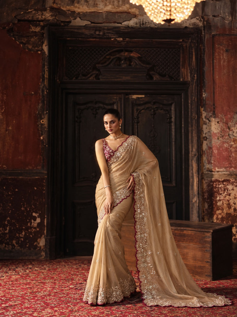 Charulata – Star Georgette Sequin Saree